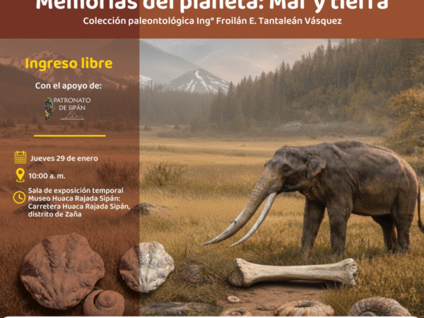 MEMORIAs DEL PLANETA: MAR Y TIERRA