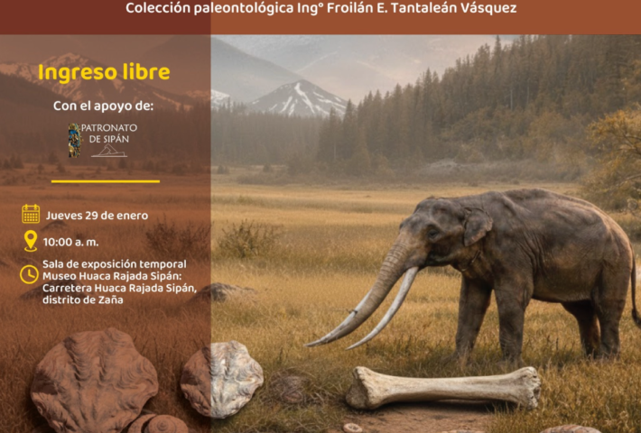 MEMORIAs DEL PLANETA: MAR Y TIERRA