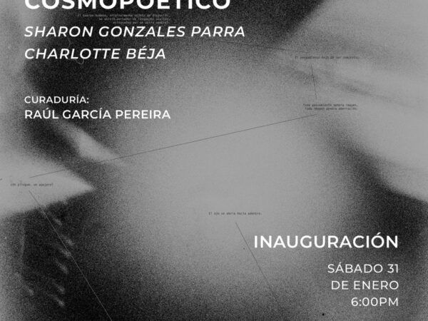 OBSERVATORIO COSMOPOÉTICO