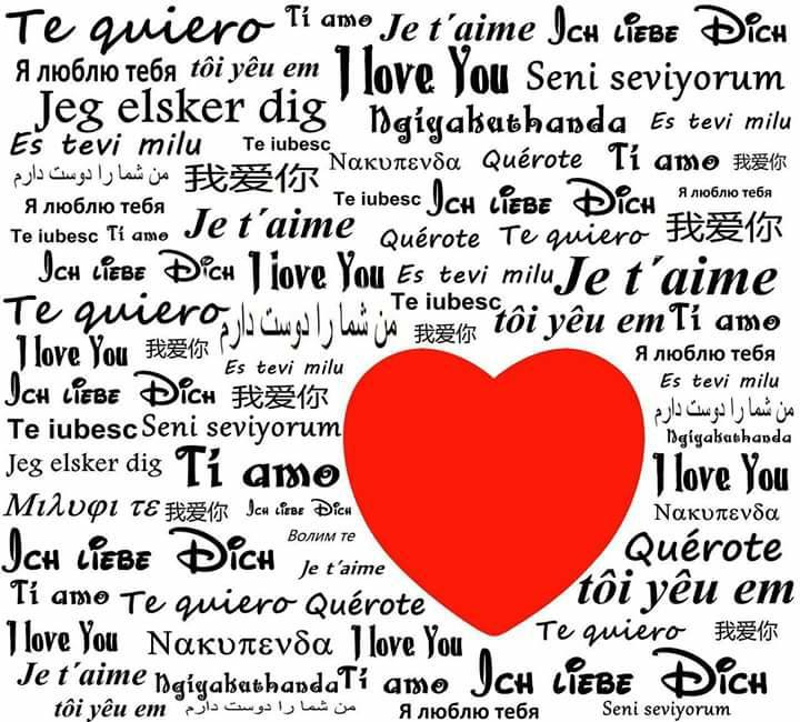 LOS IDIOMAS DEL AMOR