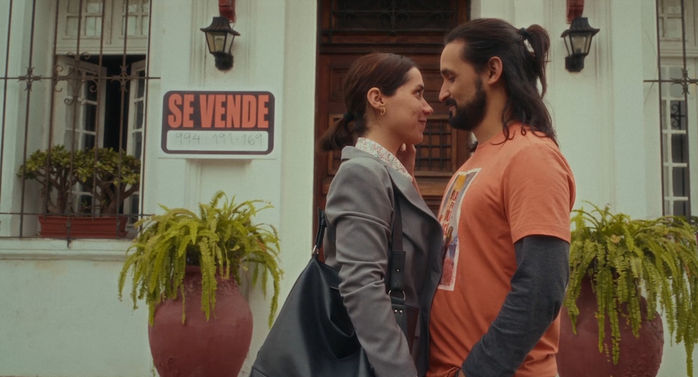 AMOR ERIZO