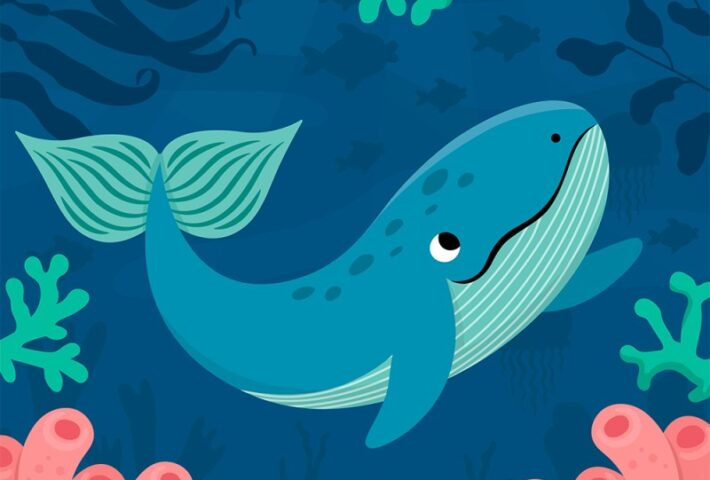 LA BALLENA QUE BUSCABA AMIGOS