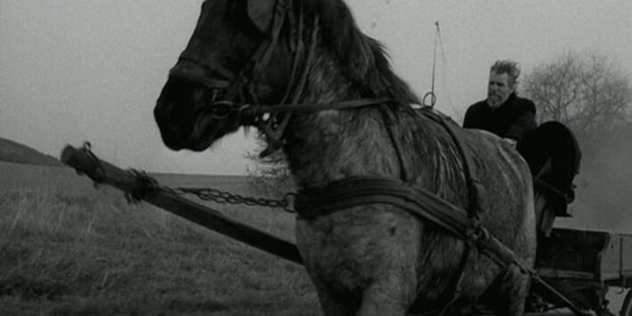 EL CABALLO DE TURÍN