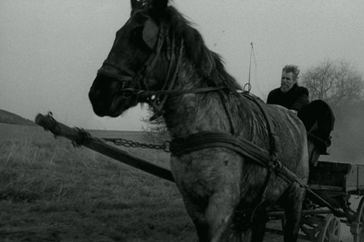 EL CABALLO DE TURÍN