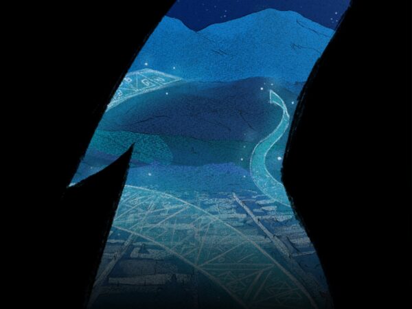 COMPETENCIA PERUANA MPF