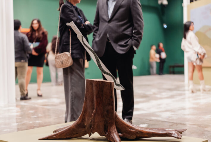 GRACIELA ARIAS SALAZAR