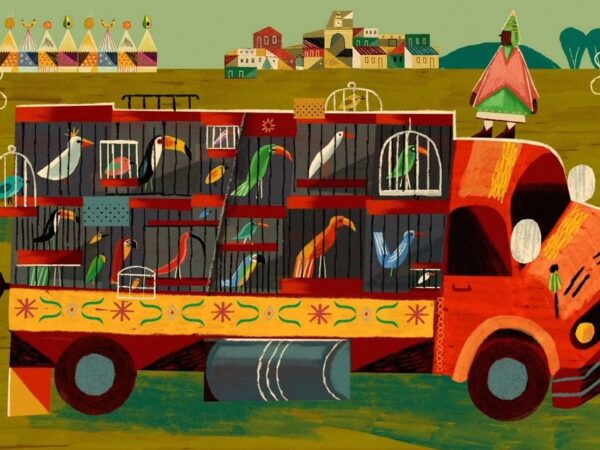 SELECCIÓN CORTOMETRAJES