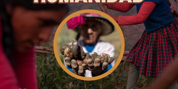 APORTE DE LA PAPA HUMANIDAD