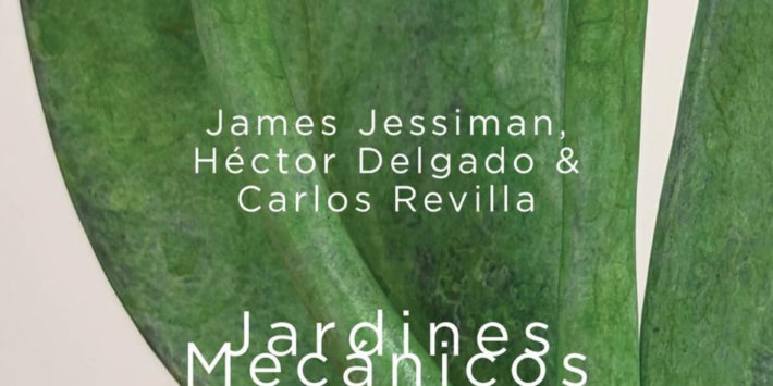 JARDINES MECÁNICOS