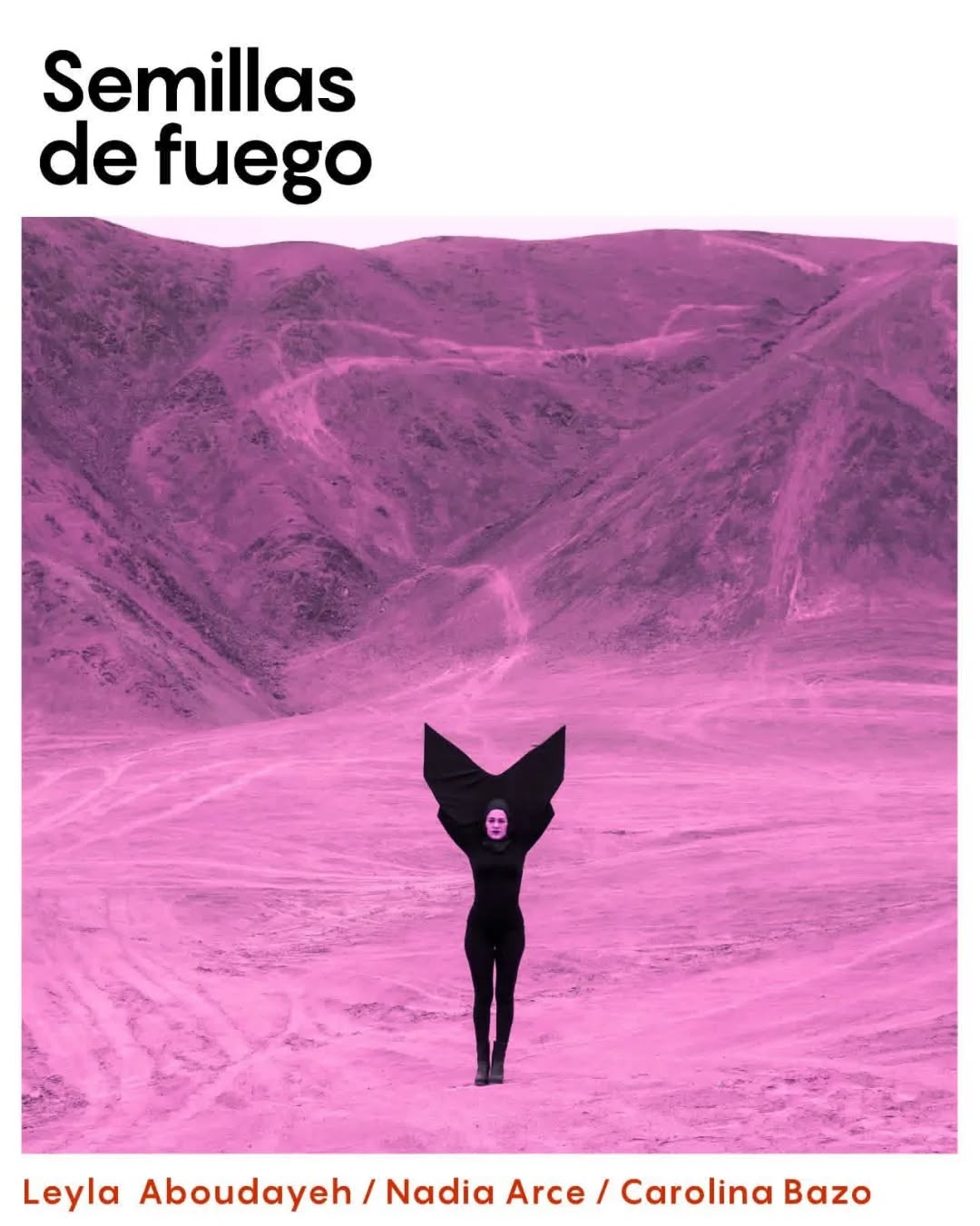 SEMILLAS DE FUEGO