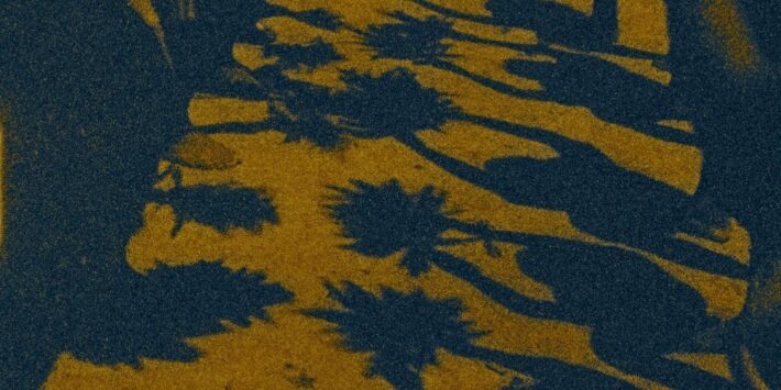 LA MEMORIA DE LAS MARIPOSAS