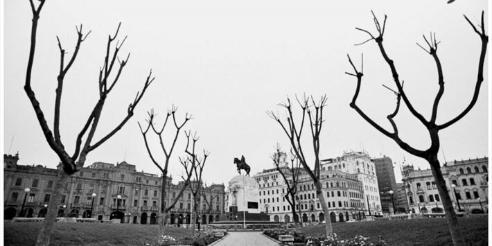 UNA COLECCIÓN ES UN DESEO