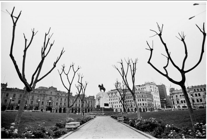 UNA COLECCIÓN ES UN DESEO