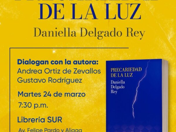 PRECARIDAD DE LA LUZ