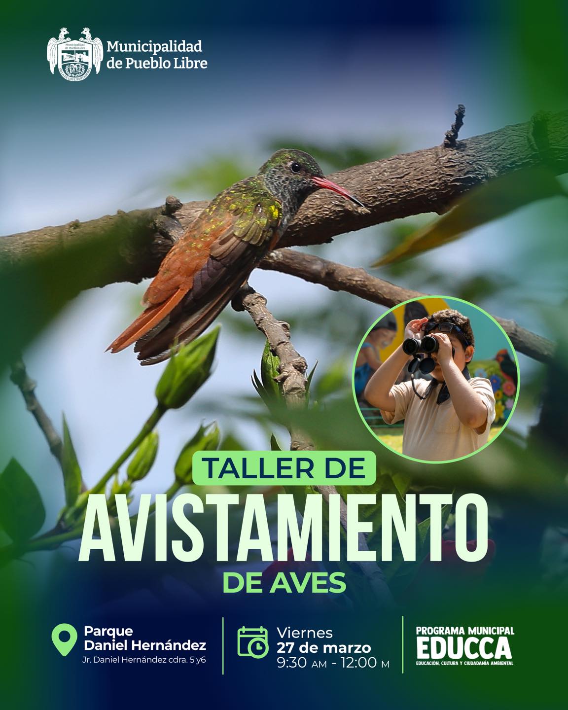AVISTAMIENTO DE AVES