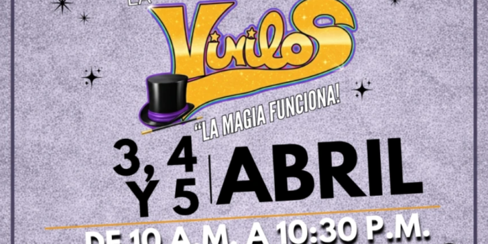 LA MEGAFERIA DE VINILOS