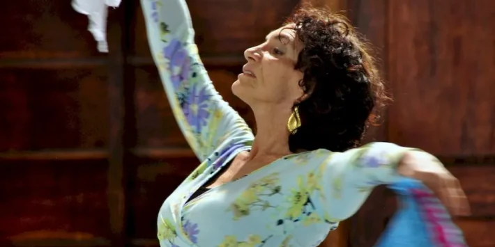 DELICIOSA FRUTA SECA