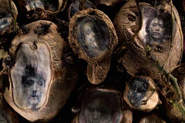 DONDE RESPIRA LA TIERRA