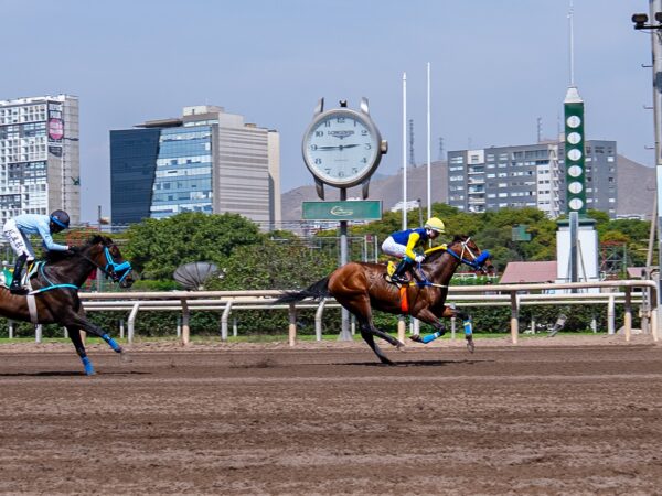 JOCKEY CLUB DEL PERÚ