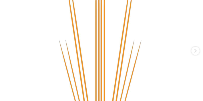 ENSAYO PARA HABITAR UNA FORMA IMPOSIBLE