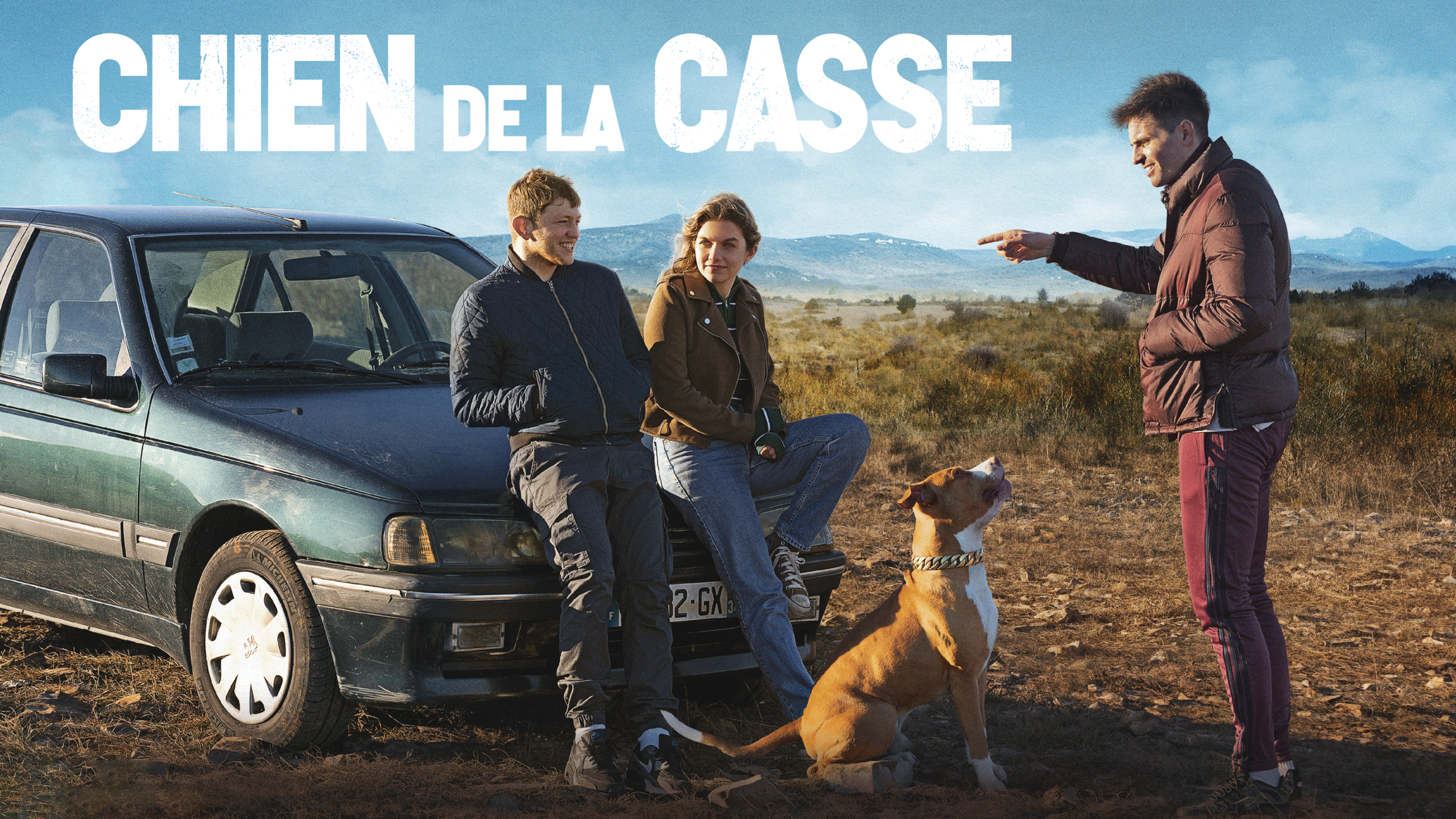 PERRO DE CAZA