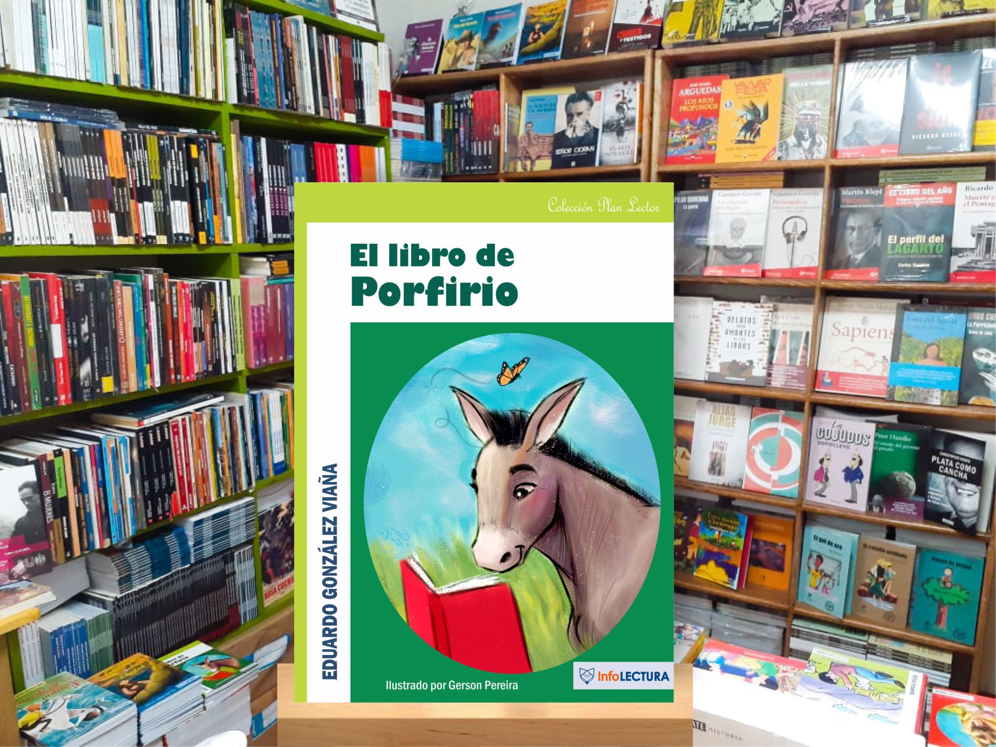 EL LIBRO DE PORFIRIO