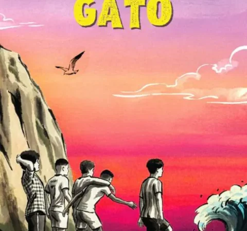 LA MANCHA DEL GATO
