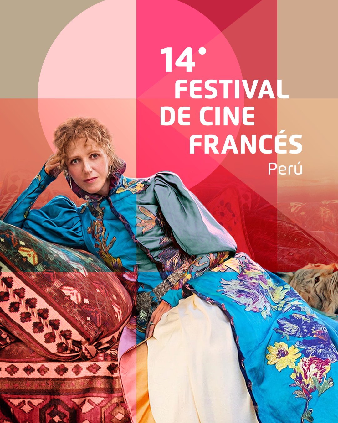 CORTOMETRAJES