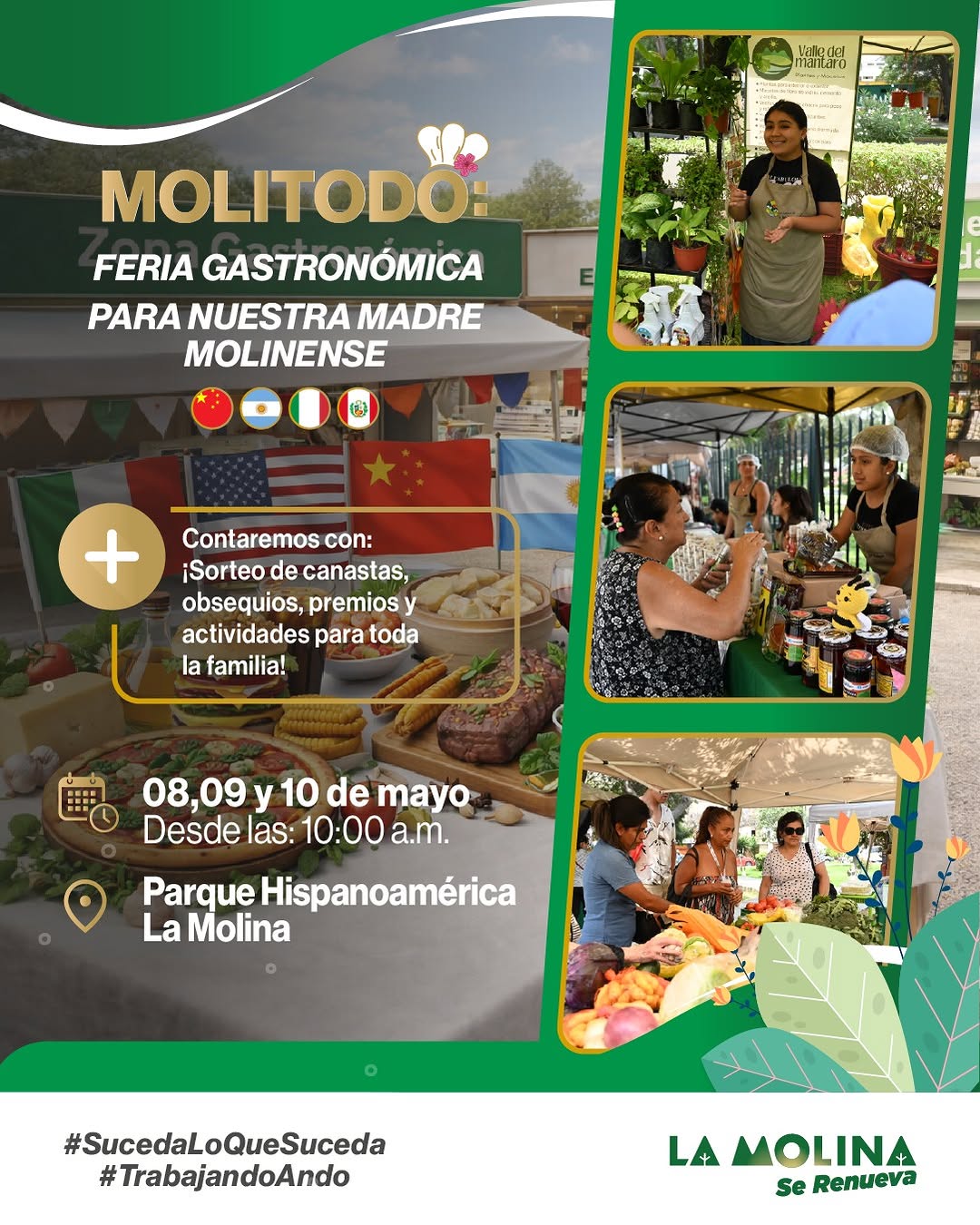 MOLITODO