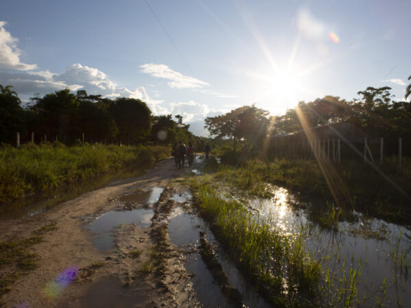 RUTA MADRE