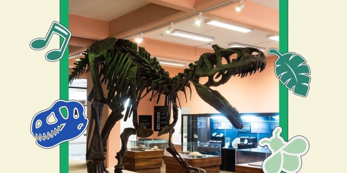 MUSEO DE HISTORIA NATURAL URP