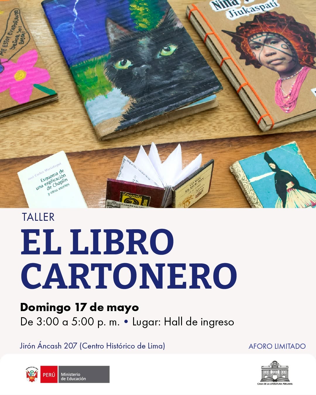 EL LIBRO CARTONERO