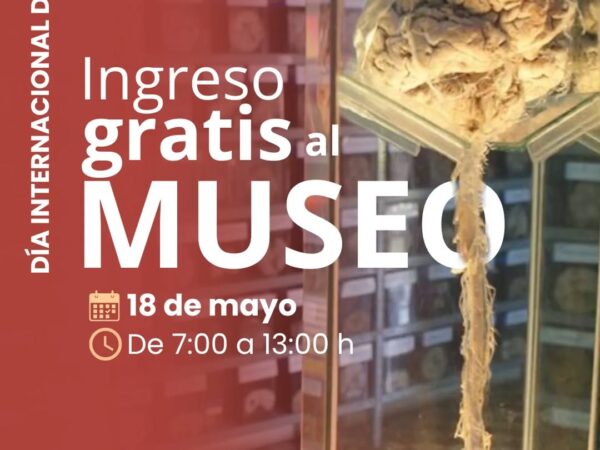 MUSEO DEL CEREBRO