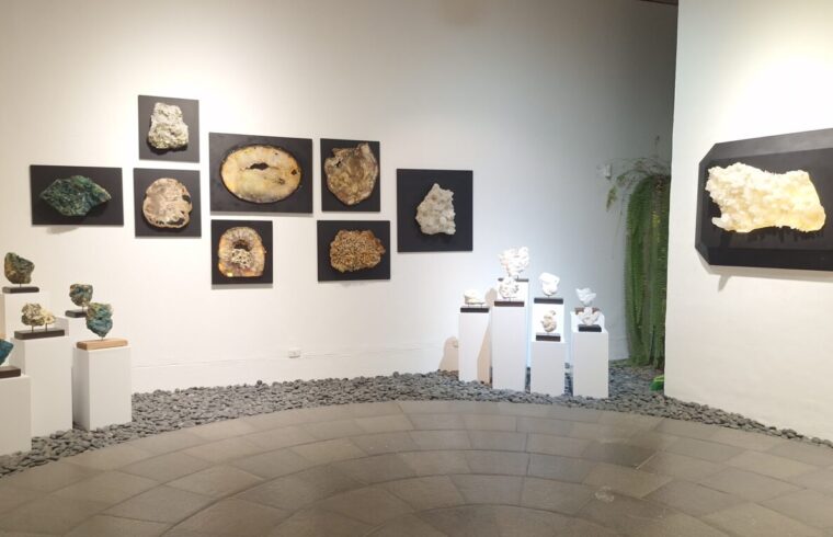 GEOMETRÍA DE LA NATURALEZA