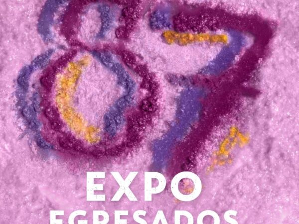 87 EXPO EGRESADOS ARTE Y DISEÑO