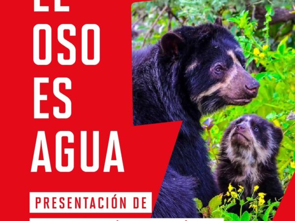 EL OSO ES AGUA