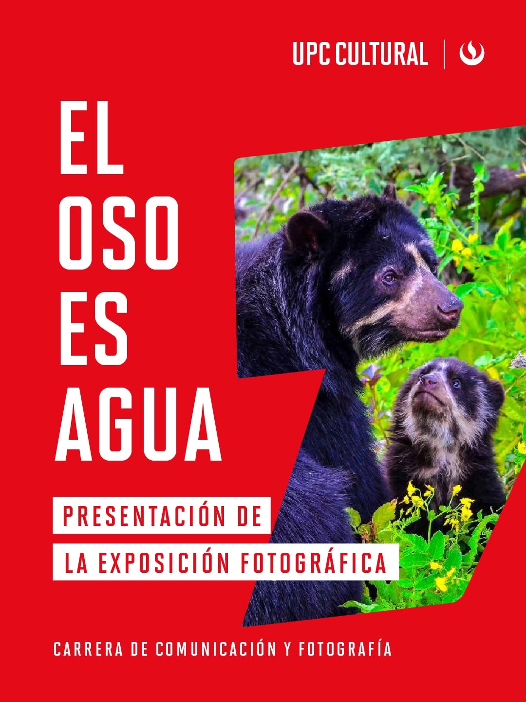 EL OSO ES AGUA