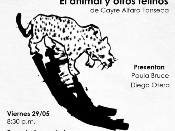 EL ANIMAL Y OTROS FELINOS
