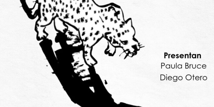 EL ANIMAL Y OTROS FELINOS