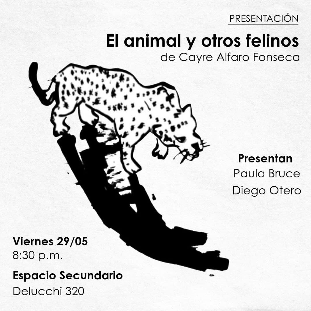 EL ANIMAL Y OTROS FELINOS