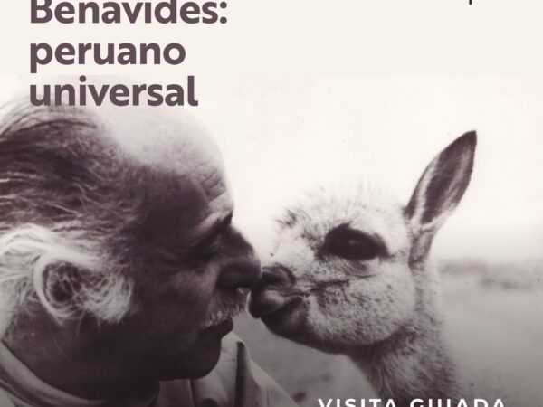 FELIPE BENAVIDES