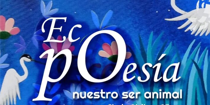 ECO POESÍA