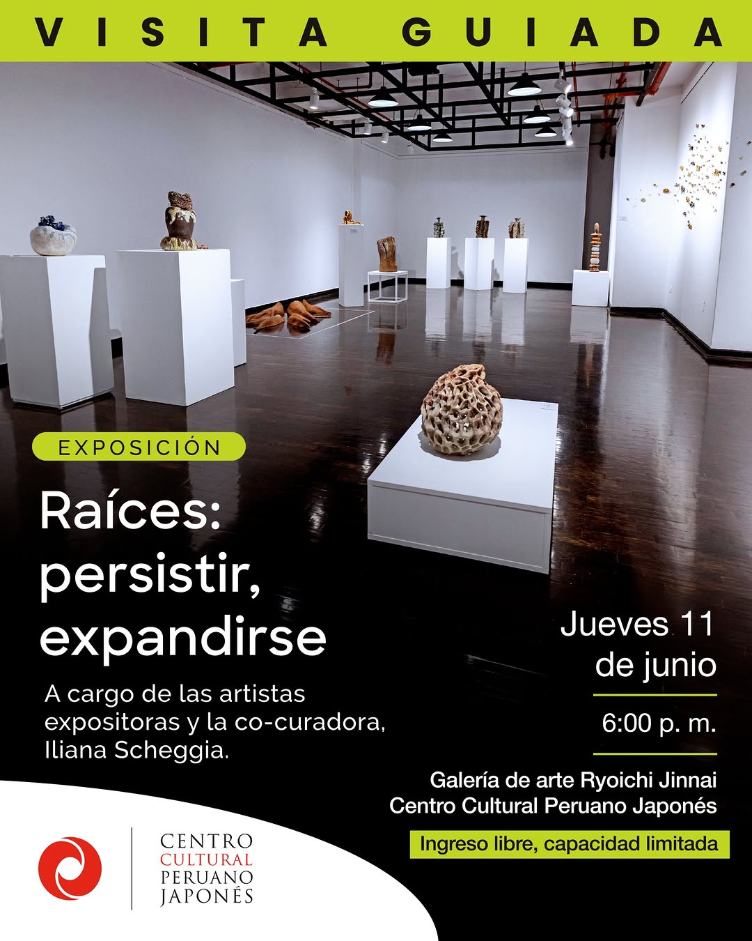 RAÍCES, PERSISTIR, EXPANDIRSE