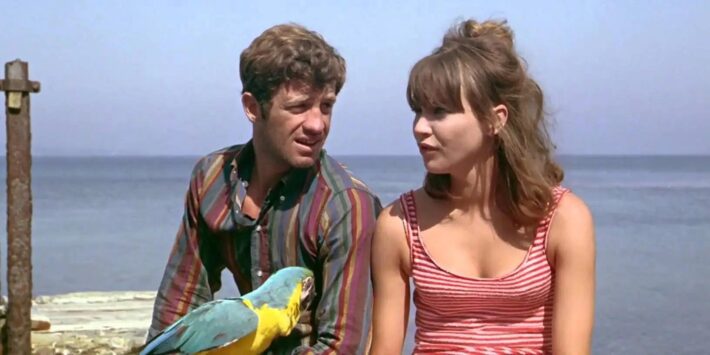 PIERROT LE FOU