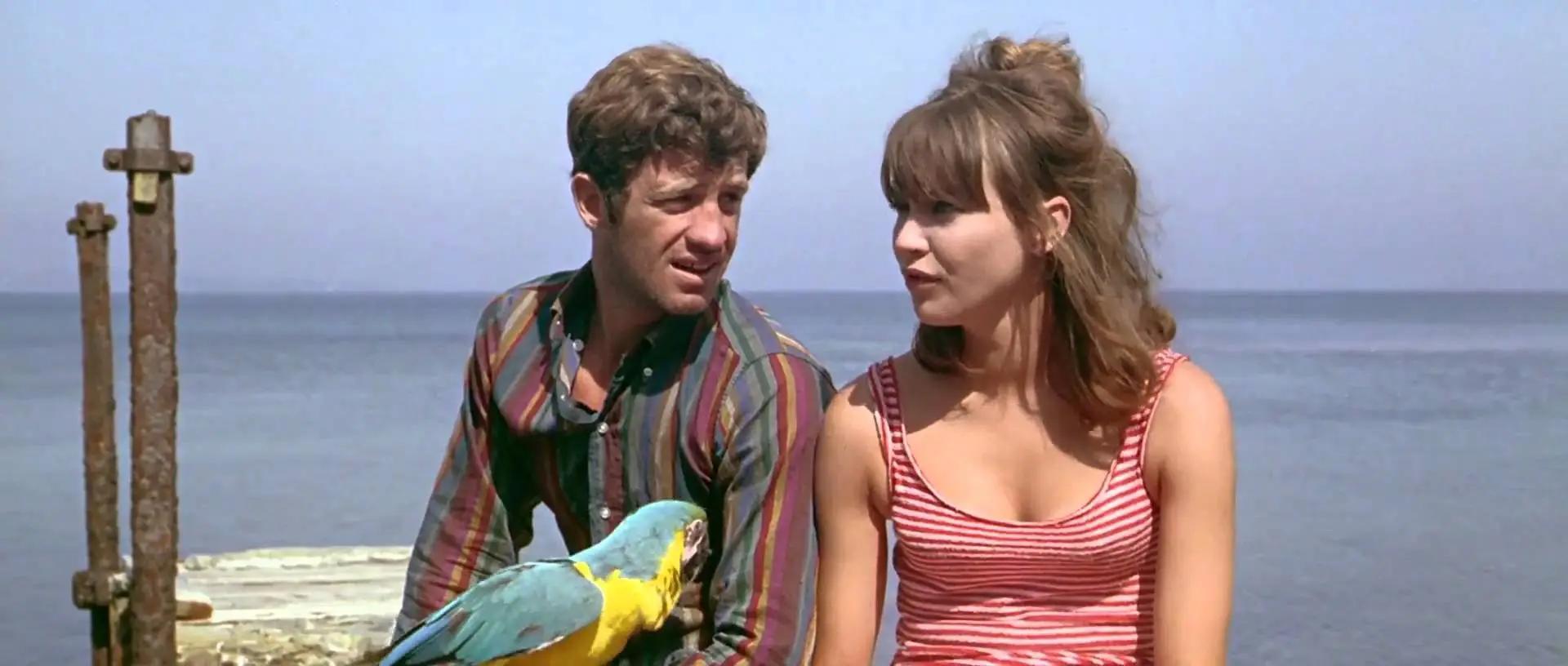 PIERROT LE FOU
