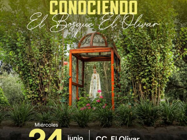 CONOCIENDO EL BOSQUE EL OLIVAR