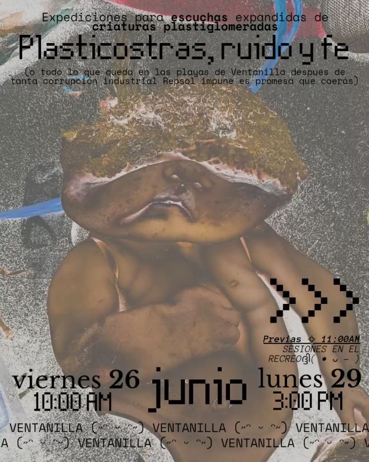 PLASTICOSTRAS RUIDO Y FE