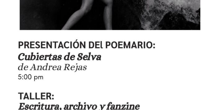 CUBIERTAS DE SELVA