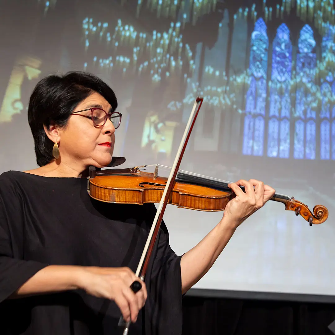 HARRY POTTER IN CONCERT!