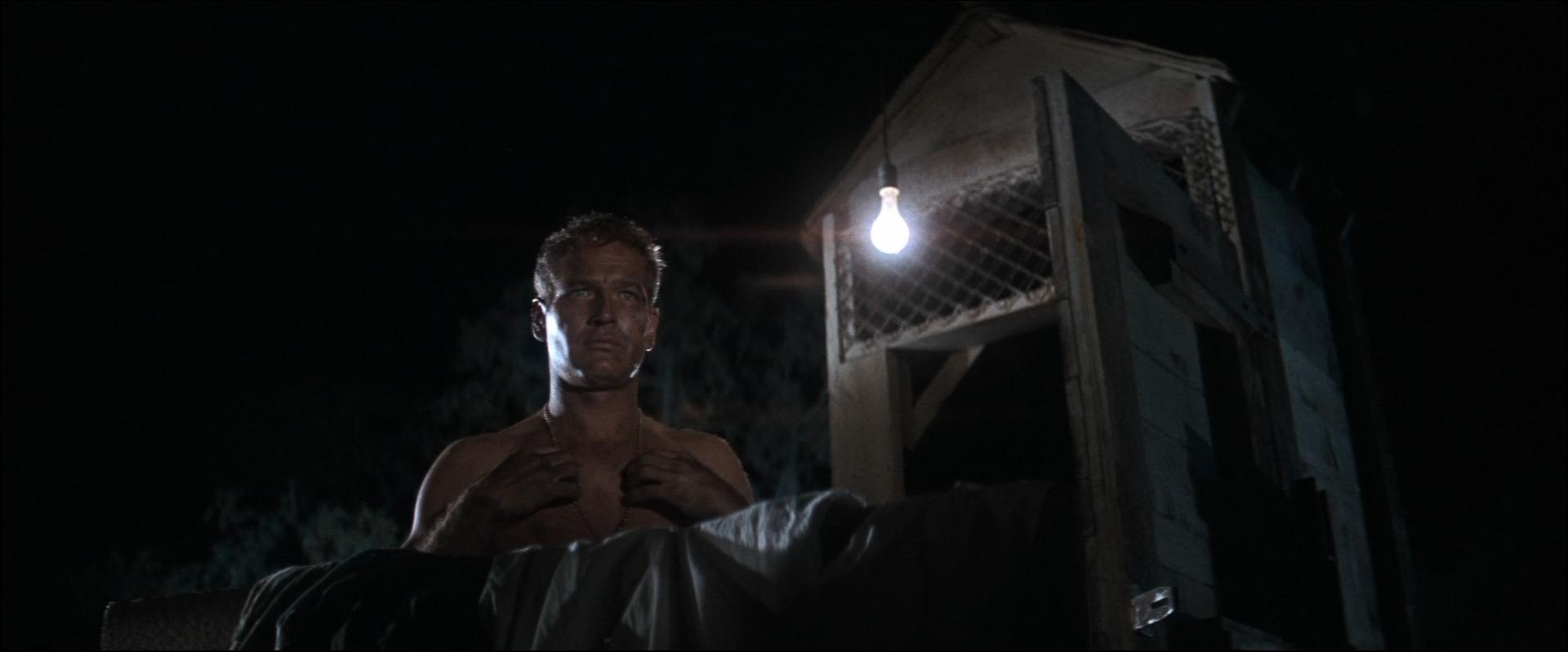COOL HAND LUKE